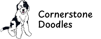 Illustration of a black and white dog next to the text "Cornerstone Doodles.